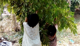 Bắt giam gã cha ruột hại đời hai con gái chấn động miền Tây